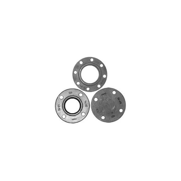 4" Companion Flange | TFGFG040