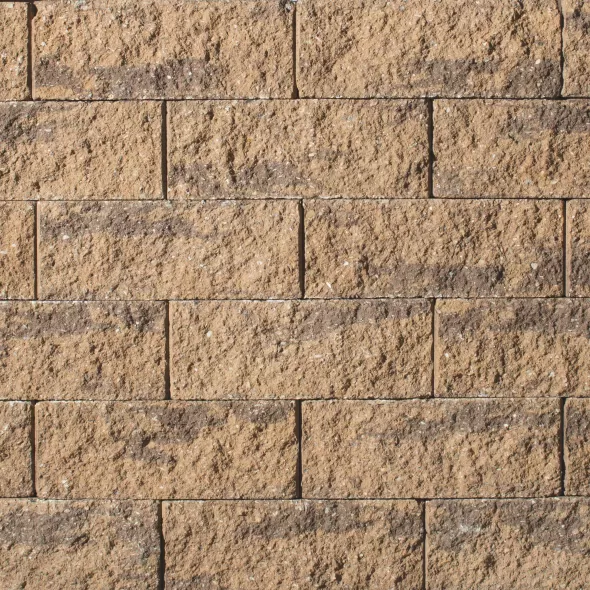 6" x 2-1/2" x 8" Rectangular Harvest Blend Coventry Edgestone | EPH28EDGESTONEHB