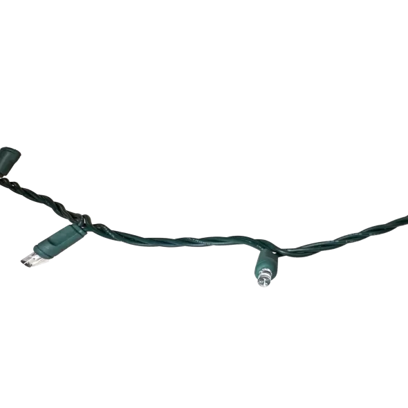 4.8 W 24' Green LED String Light | HOL45693RB