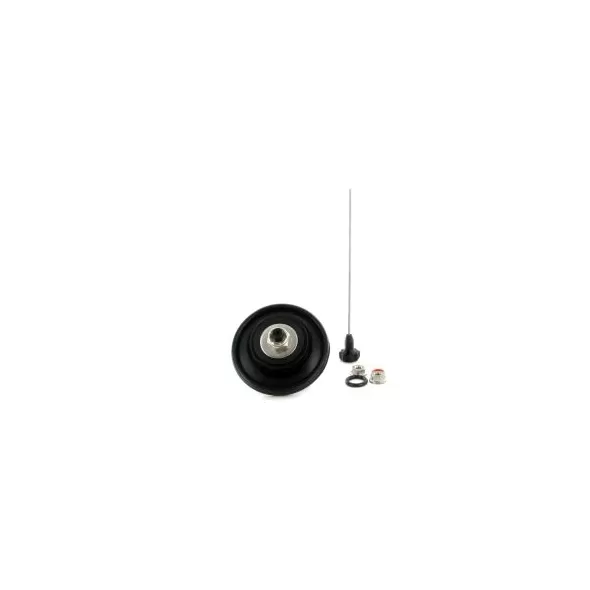 For Century Plus 100P1 1" Valves Repair Kit | IRPR100P1