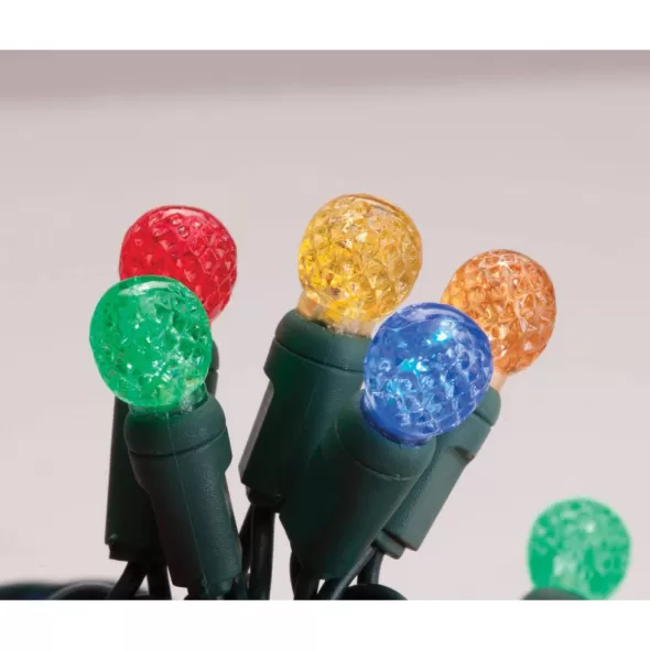 4.8 W 23-1/2' G12 Green Professional/Standard/Premium-Grade Raspberry Size LED Strand/String Light | 34614R-B