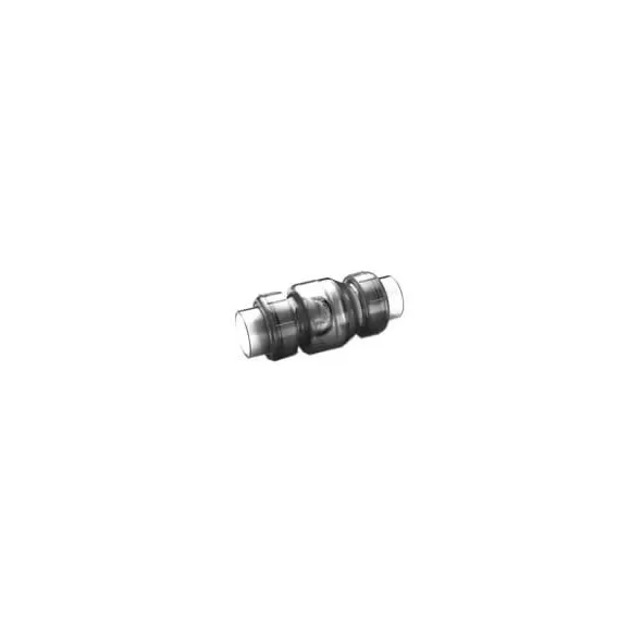 1" Flo Control Clear PVC Swing Check With True Union | 1720C10
