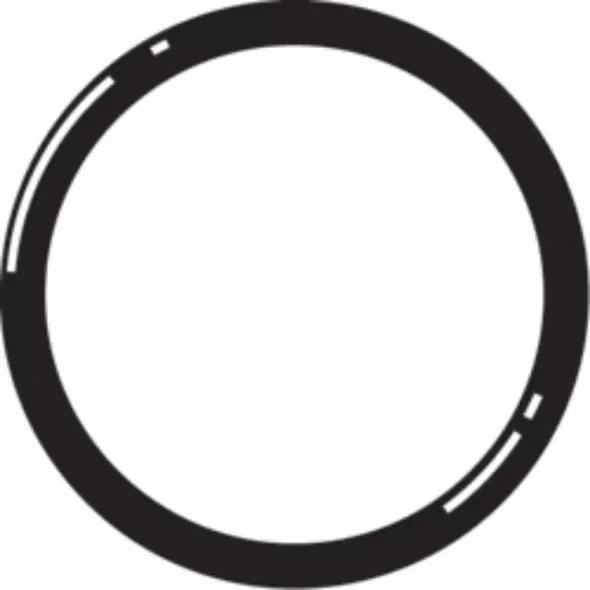 O-Ring For 1/2 In. PVC Union | 80213