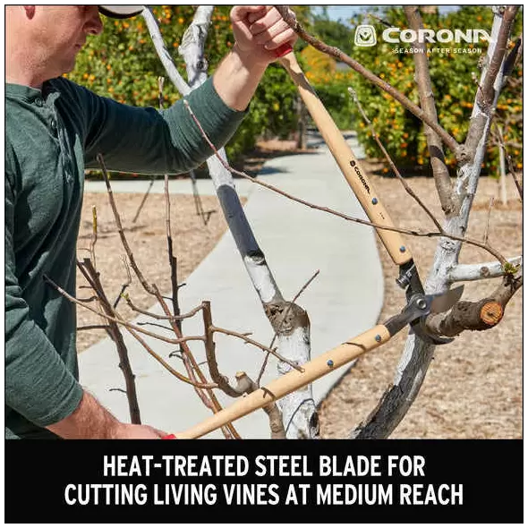 Classiccut Bypass Lopper, 26" Heat-Treated Steel Alloy Blade Hardwood Handle | WL 6420