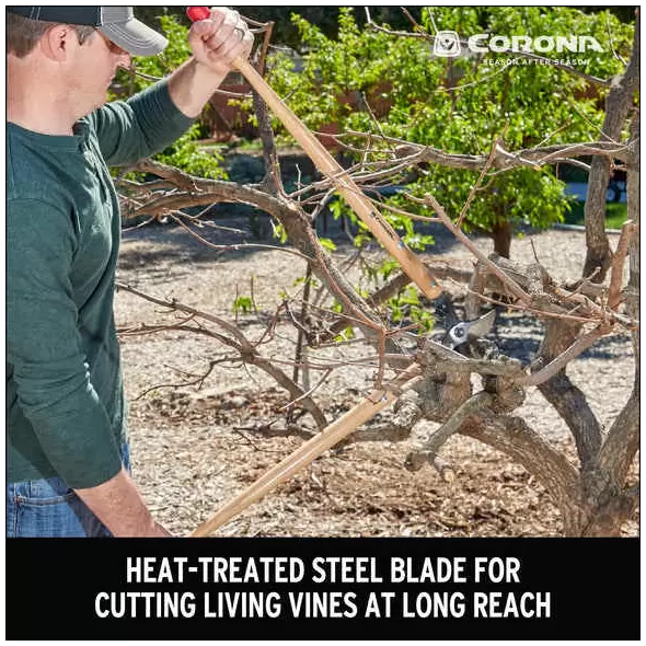 Classiccut Bypass Lopper, Heat-Treated Steel Alloy Blade Hardwood Handle | 38313000325