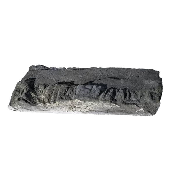 Coronado DPF Old World Ledge | 01-045