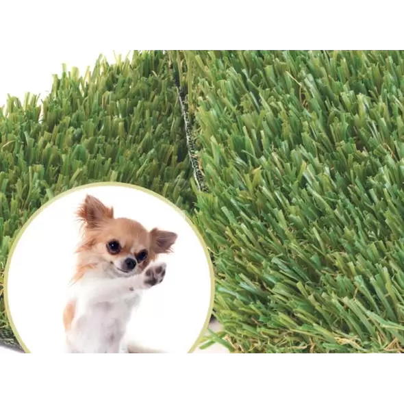 Global Synthetic Family Pet Turf | FAMILY PET