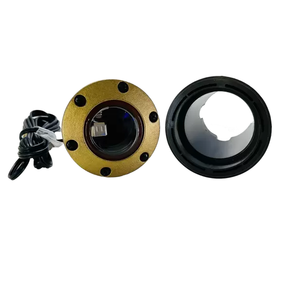 FX Well Light W/Ring Brass No Lamp | FCNLRGBS