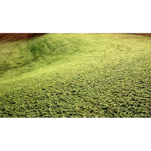HDS Original Mulch