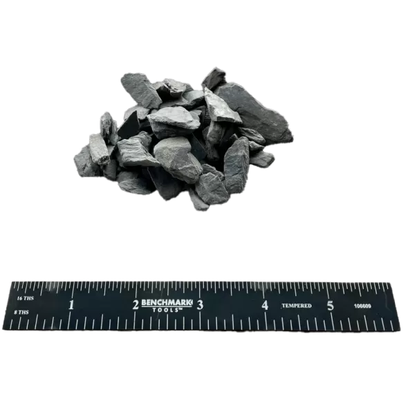 Mini Slate Chips - Scoop | SCMNI
