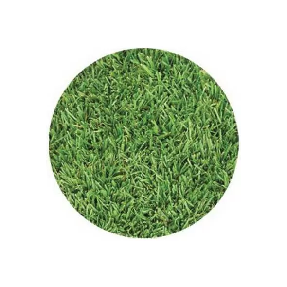 SOD 90/10 Tall Fescue | DB/TALL.FESCUE