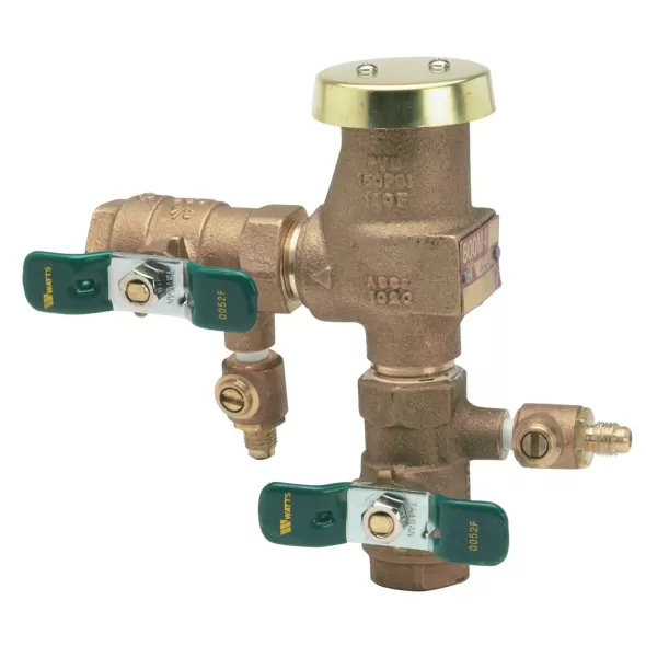 Watts 800M4FR Pressure Vacuum Breaker, Freeze Protection 3/4" FNPT | T388014