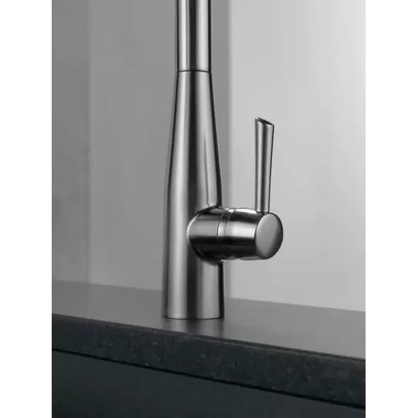 Essa Pull-Down Kitchen Faucet, Stainless Steel Single Handle Arss | 9113-AR-DST