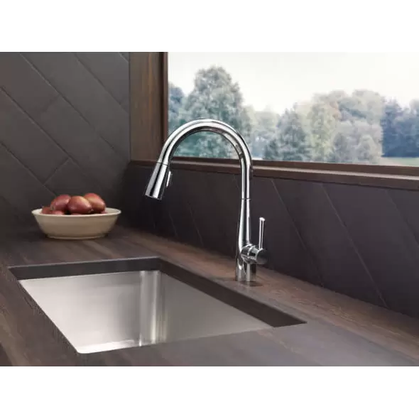 Essa Pull-Down Kitchen Faucet, Single Handle CP | 9113-DST