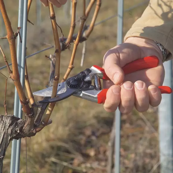 Felco Bypass Young Branch Hand Pruner | FELCO 8