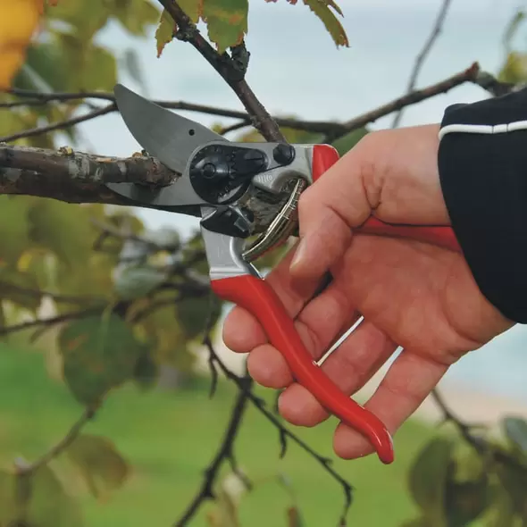 Felco Bypass Young Branch Hand Pruner | FELCO 8