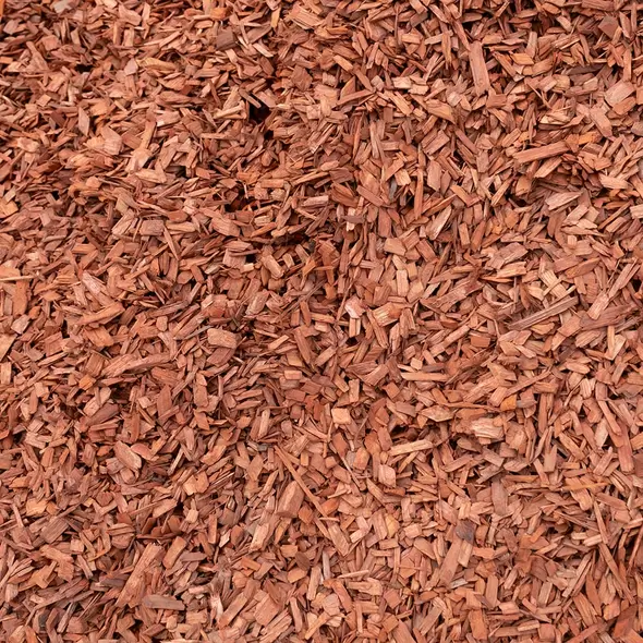 AMERICAN RED BARK