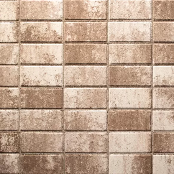 Belgard Holland Stone Paver, 60mm, 4" x 8" x 2-3/8", Amaretto