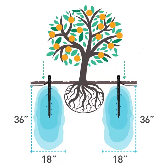 Deep Drip Watering Stake | 24GKDD