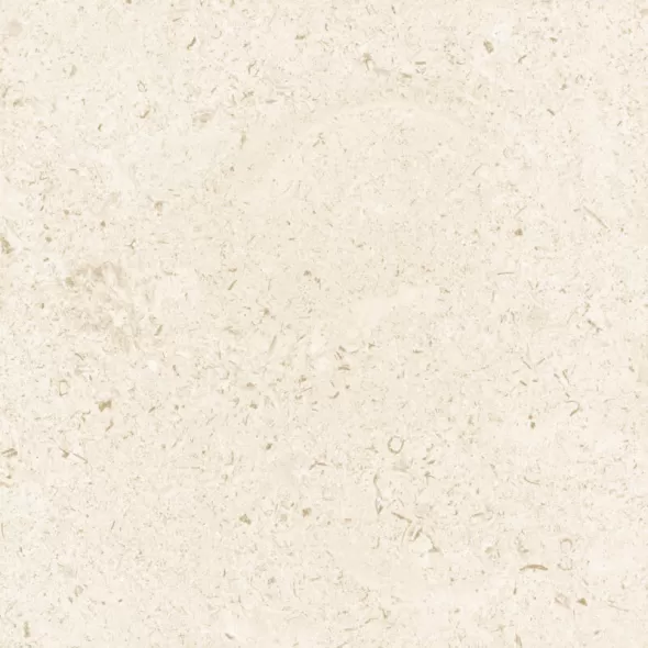 Shellstone Porcelain Paver 24" X 24" X 3/4" (2 cm), 4 sq. ft / ea., 8 sq. ft. / box, 240 sq. ft. / pallet