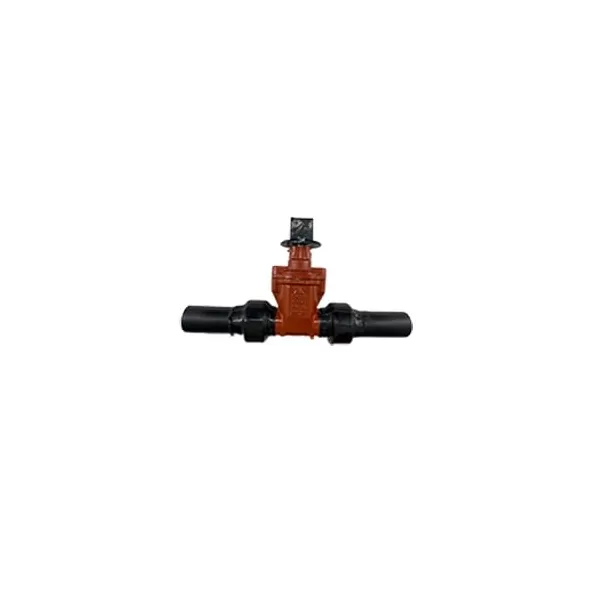 Ductile Iron Resilient Wedge Gate Valve High-Density Polyethylene 10" IPS Butt Fusion | 74-315510