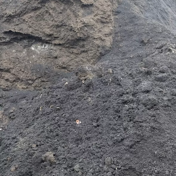 Mushroom Soil | MUSHROOMSOIL