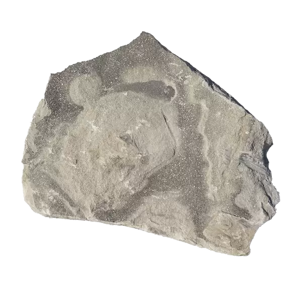 Grey Kodiak Flats W/ Split Backs Not Cut Natural Stone