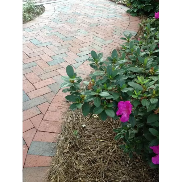 PH BROOKSTOWN FULL RANGE PAVER 3-5/8" X 7-5/8" X 1-3/8" 760 EA/ CUBE 152 EA/ BAND 168 SF/ CUBE MODULAR