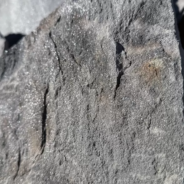 Silver Mist Standup Flagstone 1-1/2" +/- 1-1/2"