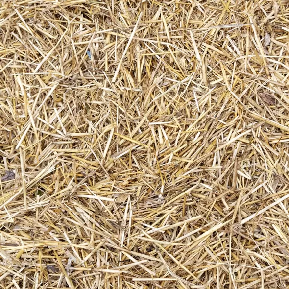 Straw Bale | STRAWBAL