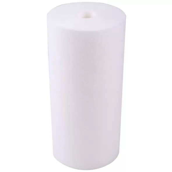 WATTS SEDIMENT FILTER 50 MICRON 4-1/2" X 10"
