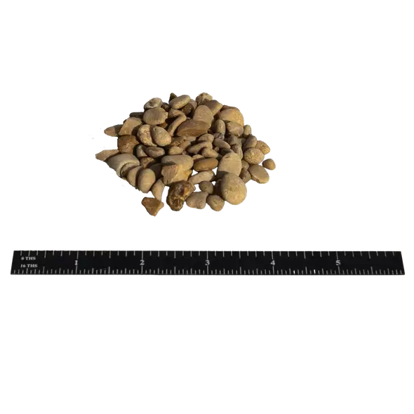 Pea Gravel, 1/2" X 1-1/2"