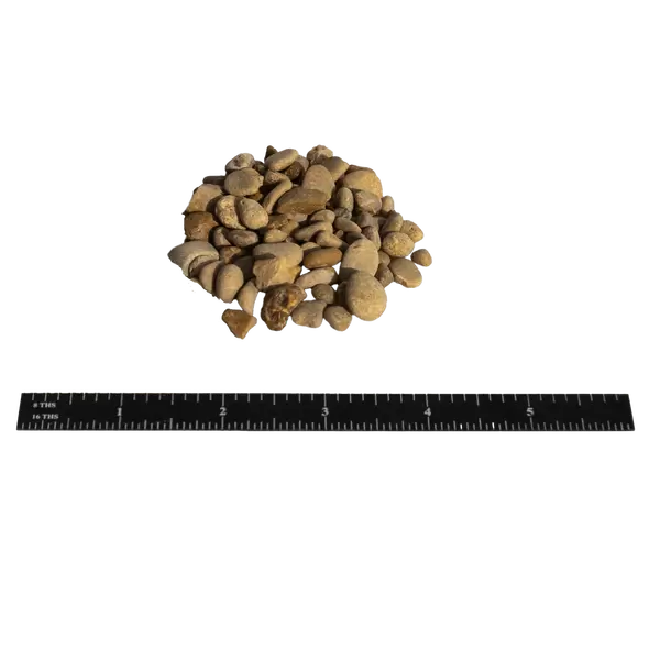 Pea Gravel, 1/2" X 1-1/2"