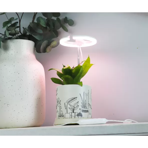 SunBlaster Halo 360 LED Plant Light, w/ USB Adaptor and Timer