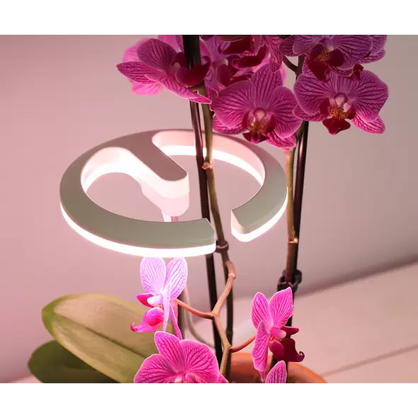 SunBlaster Halo 360 LED Plant Light, w/ USB Adaptor and Timer