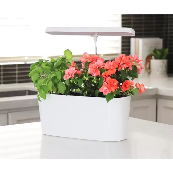 SunBlaster Nano Growlight Garden, w/ LED Grow Light, Timer and Adapter