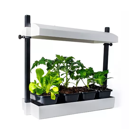 Sunblaster Micro T5 Grow Light Garden, White