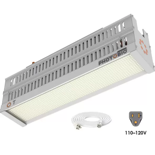 PHOTOBIO T LED, 330W, 100-277V S4, (10' 120V Cord)