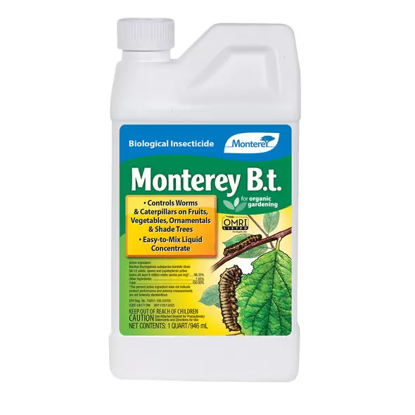 Monterey Garden B.t., 1 qt