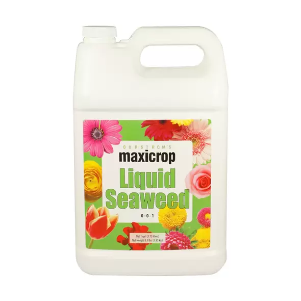 Maxicrop Liquid Seaweed, 1 gal