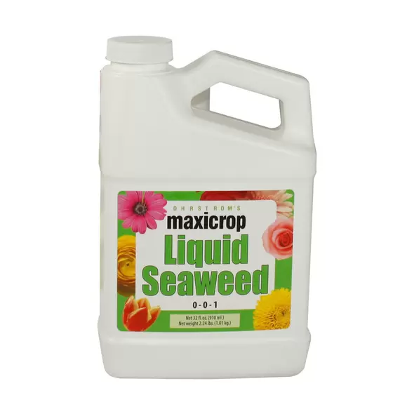 Maxicrop Liquid Seaweed, 1 qt