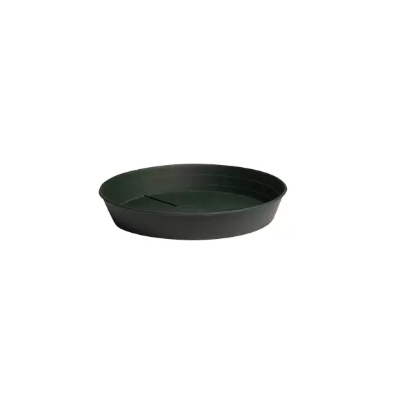 Green Premium Saucer, 8", pack of 25