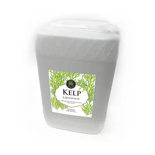 Age Old Kelp, 6 gal
