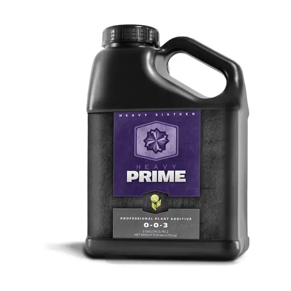 HEAVY 16 Prime, 1 gal
