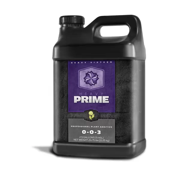 HEAVY 16 Prime, 2.5 gal