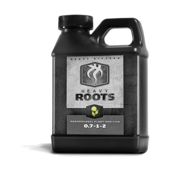 HEAVY 16 Roots, 16 oz