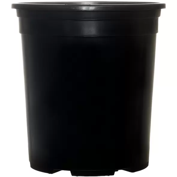 Pro Cal Premium Nursery Pot, 1 gal (bottom drain)