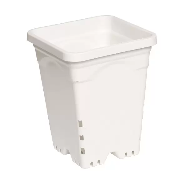 Active Aqua 6" x 6" Square White Pot, 8" Tall, case of 50