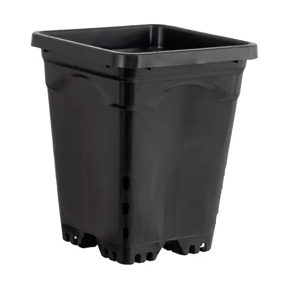 Active Aqua 7" x 7" Square Black Pot, 9" Tall, case of 50