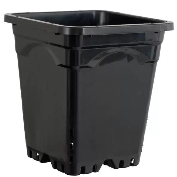 Active Aqua 9" x 9" Square Black Pot, 10" Tall, case of 24